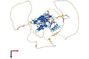 AlphaFold protein structure predicition of Human Recombinant SYN1 Protein, UniprotID P17600