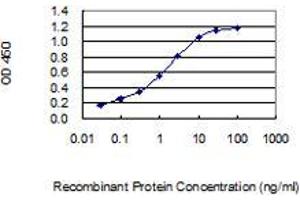 anti-Galectin 7 (LGALS7) (AA 1-136) antibody