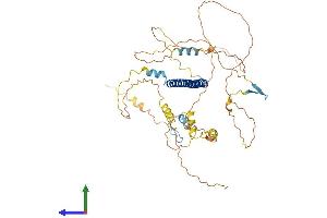 AlphaFold protein structure predicition of Human Recombinant ATF2 Protein, UniprotID P15336