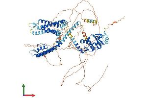 AlphaFold protein structure predicition of Mouse Recombinant Kcnb1 Protein, UniprotID Q03717