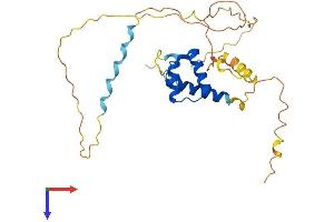 AlphaFold protein structure predicition of Human Recombinant HOXD8 Protein, UniprotID P13378