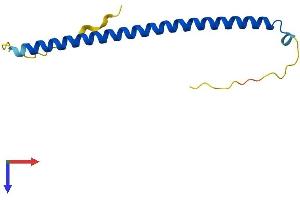 AlphaFold protein structure predicition of Mouse Recombinant Batf3 Protein, UniprotID Q9D275