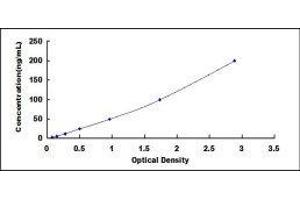 ELISA image for Collagen, Type II (COL2) ELISA Kit (ABIN431583)