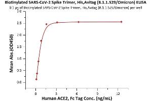 Immobilized Biotinylated SARS-CoV-2 Spike Trimer, His,Avitag™ (B.