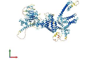 AlphaFold protein structure predicition of Mouse Recombinant Trpm5 Protein, UniprotID Q9JJH7