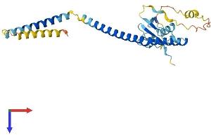 AlphaFold protein structure predicition of Human Recombinant UBXN8 Protein, UniprotID O00124
