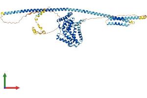 AlphaFold protein structure predicition of Human Recombinant GLE1 Protein, UniprotID Q53GS7