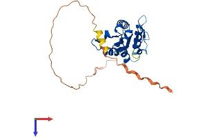 AlphaFold protein structure predicition of Human Recombinant TIRAP Protein, UniprotID P58753