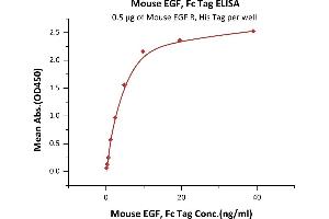 Immobilized Mouse EGF R, His Tag (ABIN2181005,ABIN2181004) at 5 μg/mL (100 μL/well) can bind Mouse EGF, Fc Tag (ABIN6731280,ABIN6809909) with a linear range of 0.
