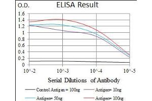 Black line: Control Antigen (100 ng), Purple line: Antigen(10 ng), Blue line: Antigen (50 ng), Red line: Antigen (100 ng), (RPL18A anticorps  (AA 50-176))