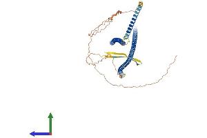 AlphaFold protein structure predicition of Human Recombinant KRT24 Protein, UniprotID Q2M2I5