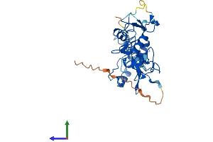 AlphaFold protein structure predicition of Mouse Recombinant Phf7 Protein, UniprotID Q9DAG9