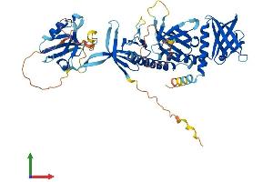 AlphaFold protein structure predicition of Human Recombinant SNTG2 Protein, UniprotID Q9NY99