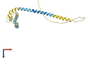 AlphaFold protein structure predicition of Mouse Recombinant Reep1 Protein, UniprotID Q8BGH4