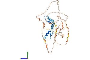 AlphaFold protein structure predicition of Mouse Recombinant Klf3 Protein, UniprotID Q60980