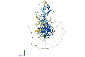 AlphaFold protein structure predicition of Human Recombinant PRKD1 Protein, UniprotID Q15139
