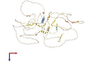 AlphaFold protein structure predicition of Human Recombinant ZNF750 Protein, UniprotID Q32MQ0