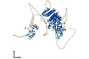 AlphaFold protein structure predicition of Mouse Recombinant Trmt1l Protein, UniprotID A2RSY6