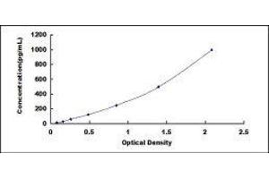 Aquaporin 4 (AQP4) ELISA Kit