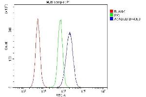 Flow Cytometry analysis of RAW264. (ACADSB anticorps  (C-Term))
