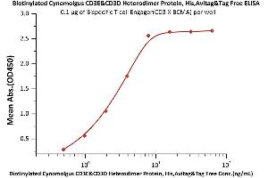 Immobilized Bispecific T cell Engager (CD3 X BCMA) at 1 μg/mL (100 μL/well) can bind Biotinylated Cynomolgus CD3E&CD3D Heterodimer Protein, His,Avitag™&Tag Free (ABIN6810038,ABIN6938884) with a linear range of 0.
