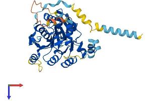 AlphaFold protein structure predicition of Human Recombinant B3GALT4 Protein, UniprotID O96024