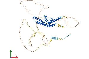 AlphaFold protein structure predicition of Mouse Recombinant Srfbp1 Protein, UniprotID Q9CZ91