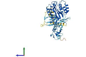 AlphaFold protein structure predicition of Human Recombinant GTF2H2C, Protein, UniprotID Q6P1K8