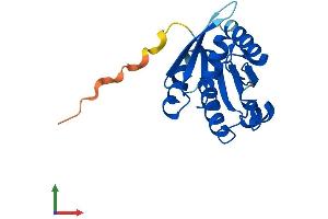 AlphaFold protein structure predicition of Human Recombinant ARL9 Protein, UniprotID Q6T311