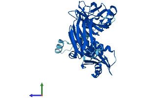 AlphaFold protein structure predicition of Human Recombinant AP3M2 Protein, UniprotID P53677