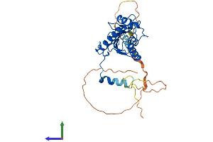 AlphaFold protein structure predicition of Human Recombinant AKTIP Protein, UniprotID Q9H8T0