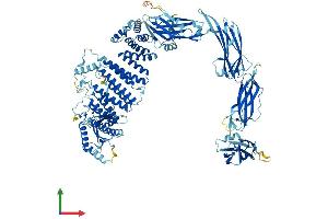 AlphaFold protein structure predicition of Mouse Recombinant Trappc11 Protein, UniprotID B2RXC1