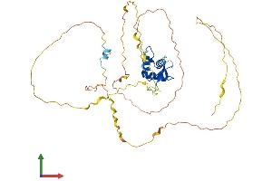 AlphaFold protein structure predicition of Human Recombinant FOXQ1 Protein, UniprotID Q9C009