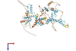 AlphaFold protein structure predicition of Human Recombinant ZSCAN32 Protein, UniprotID Q9NX65