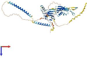 AlphaFold protein structure predicition of Human Recombinant UBXN11 Protein, UniprotID Q5T124