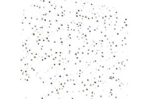 Immunocytochemistry (ICC) image for anti-Zinc Finger E-Box Binding Homeobox 1 (ZEB1) (AA 750-800) antibody (ABIN7455173) (Recombinant ZEB1 anticorps  (AA 750-800))