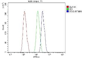 Flow Cytometry analysis of A431 cells using anti-SOX3 antibody (ABIN7600935). (SOX3 anticorps  (AA 256-283))