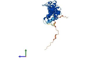 AlphaFold protein structure predicition of Human Recombinant NFKBID Protein, UniprotID Q8NI38