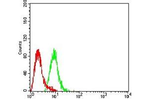 Flow cytometric analysis of Hela cells using EZH1 mouse mAb (green) and negative control (red).