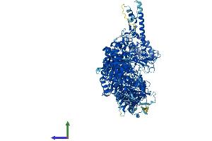 AlphaFold protein structure predicition of Human Recombinant AGL Protein, UniprotID P35573