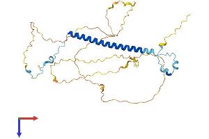 AlphaFold protein structure predicition of Human Recombinant CCDC86 Protein, UniprotID Q9H6F5