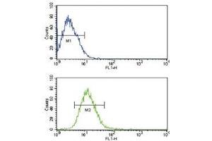 Flow cytometric analysis of CEM cells using TLR2 antibody (bottom histogram) compared to a negative control (top histogram).