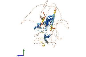 AlphaFold protein structure predicition of Mouse Recombinant Myrip Protein, UniprotID Q8K3I4