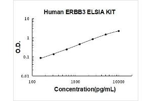 Receptor Tyrosine-Protein Kinase ErbB-3 (ERBB3) ELISA Kit