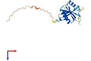 AlphaFold protein structure predicition of Mouse Recombinant Tsen15 Protein, UniprotID Q8R3W5