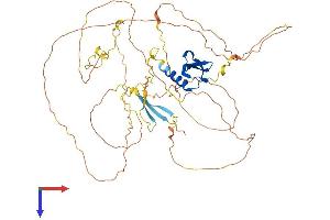 AlphaFold protein structure predicition of Human Recombinant CBX4 Protein, UniprotID O00257
