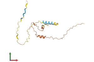 AlphaFold protein structure predicition of Human Recombinant SERTAD4-AS1 Protein, UniprotID Q5TG53