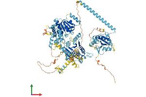 AlphaFold protein structure predicition of Mouse Recombinant Chd1l Protein, UniprotID Q9CXF7