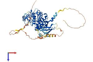 AlphaFold protein structure predicition of Mouse Recombinant Stk32c Protein, UniprotID Q8QZV4