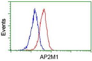 Flow cytometric Analysis of Jurkat cells, using anti-AP2M1 antibody (ABIN2454661), (Red), compared to a nonspecific negative control antibody, (Blue). (AP2M1 anticorps  (AA 97-383))